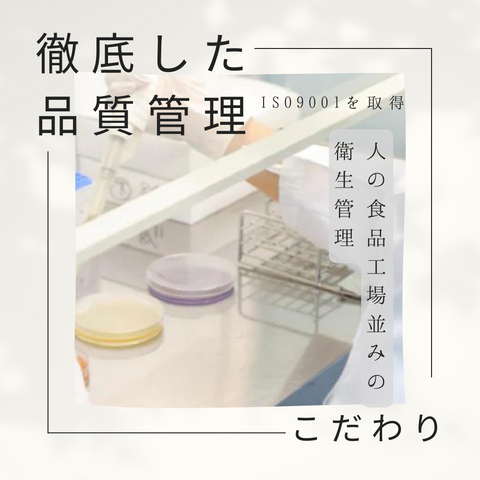 お客様の声でできたガムです ササミ味 5枚入