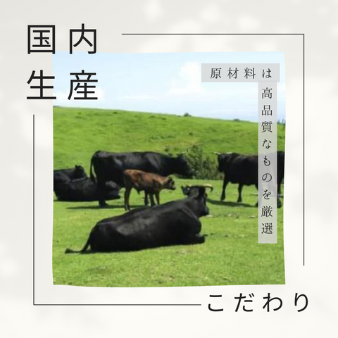 お客様の声でできたガムです ナチュラル 5枚入