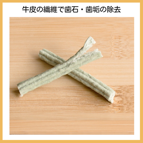 理想のオーラルガム 桜型スティック クロロフィル 75g(約30本入)