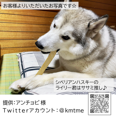 お客様の声でできたガムです ササミ味 5枚入